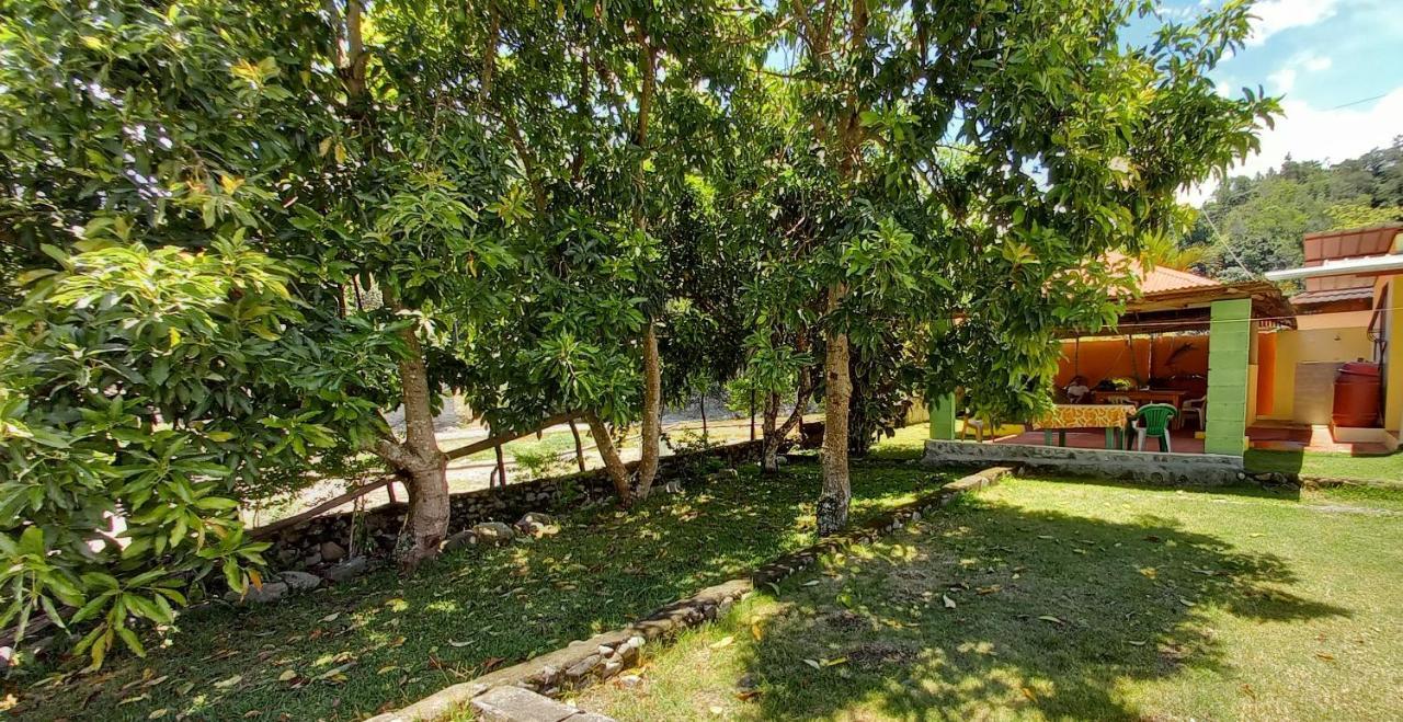 Conrado'S Guesthouse B&B Las Avispas Екстер'єр фото